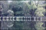 Boats at rest