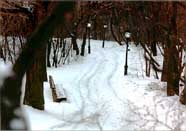 Snowy afternoon in March, 1996
